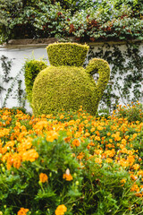 bush in shape of a vase in a park