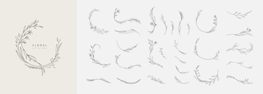 Set of caligraphic floral frame and trendy botanical elements. Wedding elegant wildflowers for invitation save the date card. Botanical feminine rustic trendy vector