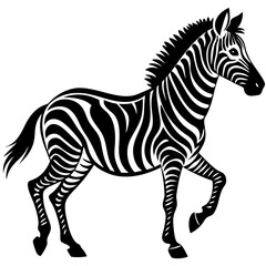 Fototapeta premium zebra-in-action-silhouette-isolated-on-white-backg