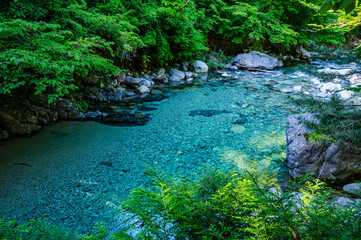 初夏の阿寺渓谷