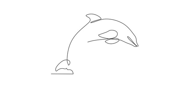Animated self drawing of dolphin video design illustration. Fish animal themes in simple continuous line design video concept. Fish are aquatic vertebrates live in water and breathe through gills.