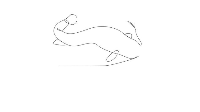 Animated self drawing of Catfish video design illustration. Fish animal themes in simple continuous line design video concept. Fish are aquatic vertebrates live in water and breathe through gills.