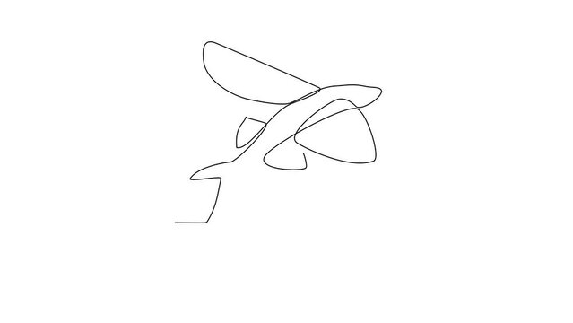 Animated self drawing of Flying fish video design illustration. Fish animal themes in simple continuous line design video concept. Fish are aquatic vertebrates live in water and breathe through gills.