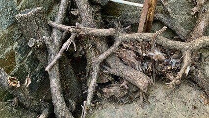 Pile dry wooden branches logs stone wall outdoor fire fireplace forest garden yard home house