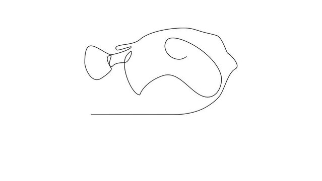 Animated self drawing of Rubber Fish video design illustration. Fish animal themes in simple continuous line design video concept. Fish are aquatic vertebrates live in water and breathe through gills.