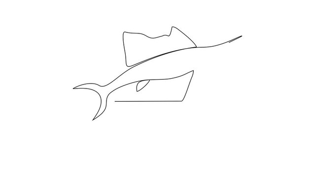 Animated self drawing of Sailfish video design illustration. Fish animal themes in simple continuous line design video concept. Fish are aquatic vertebrates live in water and breathe through gills.