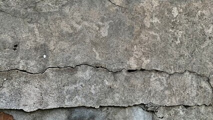 Cracked concrete surface small plant growing damaged wall texture outdoor
background surface