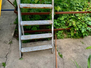 Outdoor metal step ladder with blue steps and gardening tools beside concrete pathway and green plants © Yeva Pysmenna