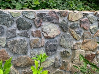 Green plants in front of stone wall exterior background outdoor natural setting