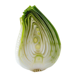 Fototapeta premium Close-up of a green onion slice, showing intricate layers and texture. Perfect for culinary, healthy eating, and food-related concepts.