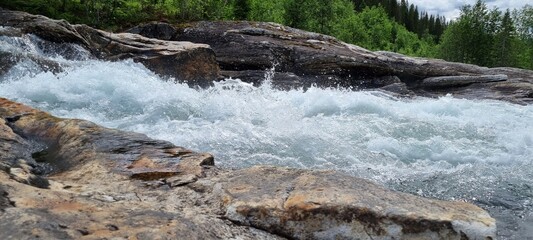 Rapid flowing mountain river through forest in summer