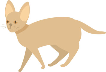 Simple stylized drawing of an abyssinian cat walking with a collar