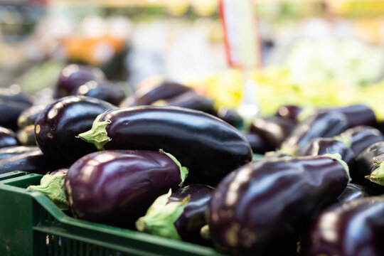 Fresh purple eggplant on market counter