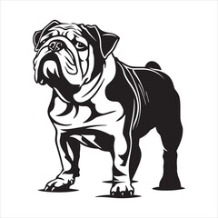 Bulldog standing silhouette vector illustration line art