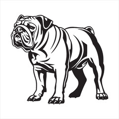 Bulldog standing silhouette vector illustration line art 