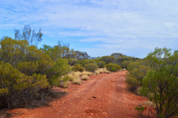 A view of a red dirt road in outback South Australia. 