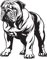 Bulldog standing silhouette vector illustration line art and clip art