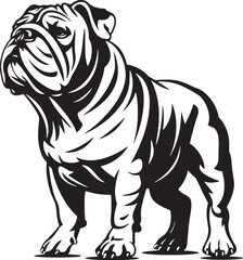 Bulldog standing silhouette vector illustration line art and clip art