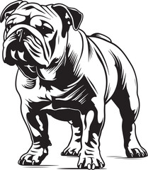 Bulldog standing silhouette vector illustration line art and clip art