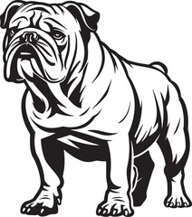 Bulldog standing silhouette vector illustration line art and clip art