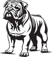 english bulldog portrait, Bulldog standing silhouette vector illustration line art and white background