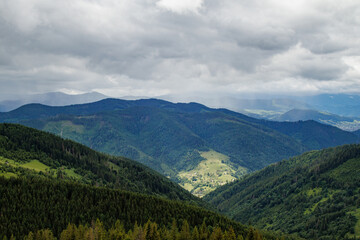 Obraz premium fields and meadows of Ukraine 