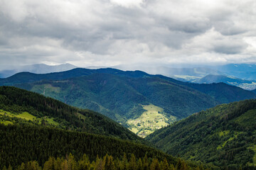 fields and meadows of Ukraine	
