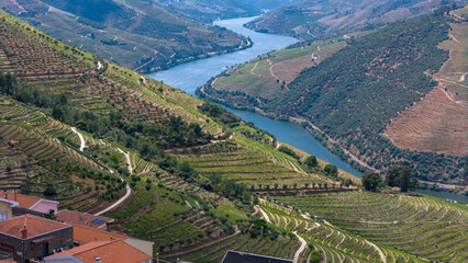 View of the terraced vineyards in the Douro Valley and river near the village of Pinhao, Portugal. Concept for travel in Portugal and most beautiful places in Portugal