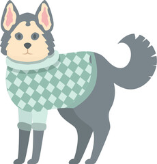 Cute husky dog is wearing a green winter sweater and standing