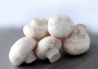 tasty white edible mushrooms as condiment or meal close up