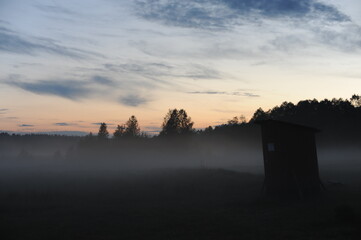 Foggy sunrise in the meadow in the early morning in the countryside at dawn with trees in the foreground