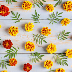 Summer background of flowers and leaves marigolds on a blue wooden table with space for text. Nature concept. Flat lay. Floral Greeting card.