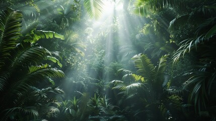 Lush Green Forest Filled With Plants and Trees