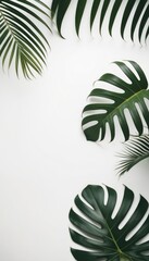 Minimalist composition of green tropical palm leaves against a clean white background, creating a serene and natural aesthetic