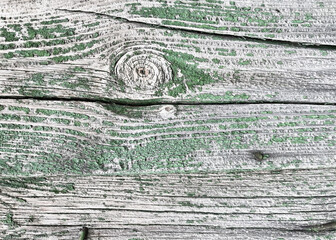 surface of old gray wooden boards