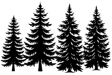 Pine tree silhouettes. Evergreen forest firs and spruces black shapes, wild nature trees templates. Vector illustration woodland trees set on white background