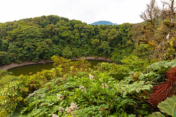 view to the Barva lagoon in the cloud forest landscape in the Barva section of the Braulio Carillo national park in Costa Rica