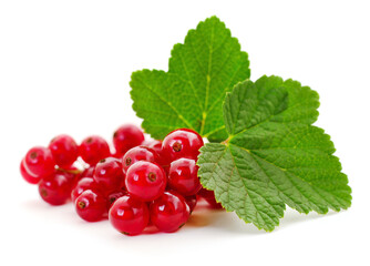 Red currants with green leaves.