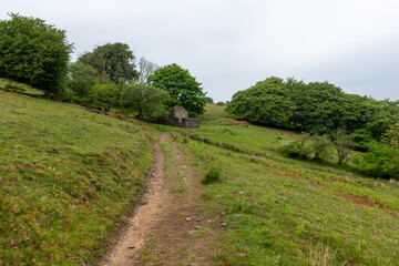 Fototapeta premium Photo of Hoar Oak cottage in Hoar Oak valley in Exmoor National Park