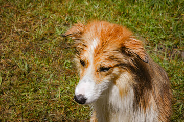 Fototapete bei efototapeten.de bestellen   