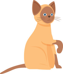 Cute siamese cat is sitting with its paw raised, showcasing its playful nature