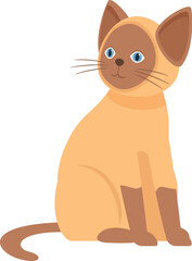 Illustration of a brown and cream colored siamese cat sitting and looking to the side