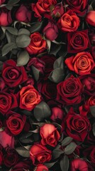 Naklejka premium Close-up image of a cluster of red roses