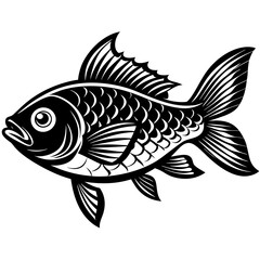 fish on a white background