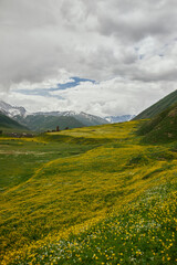 Obraz premium Mountains of Georgia 