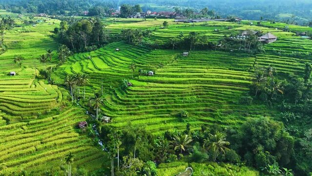 Landscape view of Jatiluwih Rice Terraces in Penebel District, Tabanan Regency, Bali, Indonesia. UNESCO's world's cultural heritage site