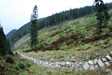 Szlak turystyczny w Polskich Tatrach