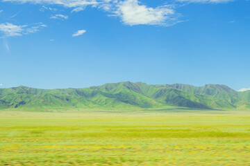 Blooming Kazakhstan steppe in the spring.
