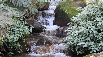 A small river in Rodeio City, Santa Catarina, Brasil