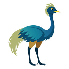 Emu animal isolated on white